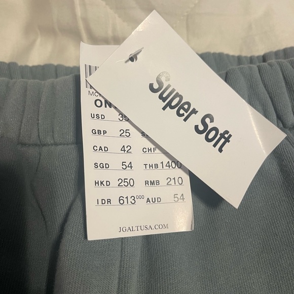 NWT brandy melville sage green rosa soft sweatpants - Picture 3 of 7